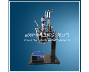 浙江1L Glass Reactor with Constant Pressure Feeding Port