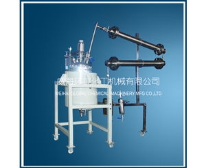 浙江25L Vacuum Pressure Distillation Reactor