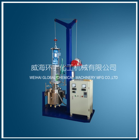 浙江5L Stainless Steel Lifting Reactor