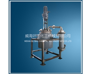 浙江200L Reactor with Mechanical Seal