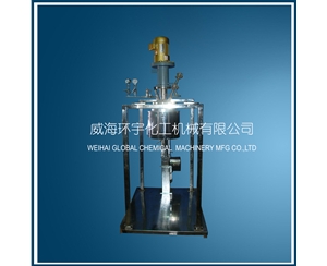 浙江5L Electric Lifting Reactor