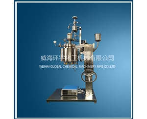 浙江5L Lifting Reactor with Feeding Tank