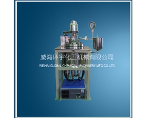 浙江5L Hydrogenation Reactor with Explosion proof Motor