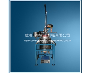 浙江20L Lifting  Reactor with PFA lining