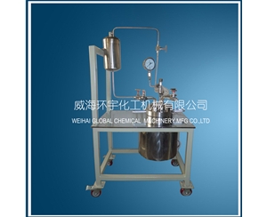 浙江Stainless Steel High Pressure Reactor with Feeding Tank